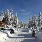 chemin enneigé, Canada