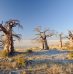 Séjour au Botswana, les choses à ne pas manquer