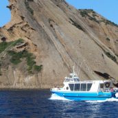 Que voir autour du parc national des Calanques ?