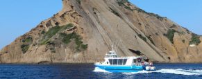 Que voir autour du parc national des Calanques ?