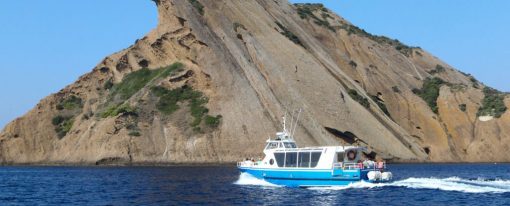 Que voir autour du parc national des Calanques ?