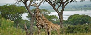 2 lieux où dormir lors d’un voyage en Ouganda