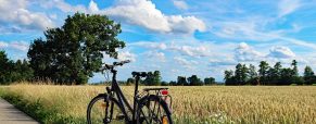 Les meilleures destinations pour entreprendre un mémorable voyage à vélo