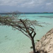 Explorer Aruba, le petit trésor des Caraïbes