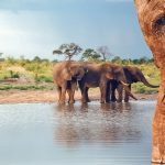 Séjour au Zimbabwe : 3 sites d'intérêt touristiques à visiter absolument