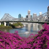 3 activités à privilégier lors d’un séjour à Brisbane en Australie