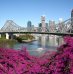 3 activités à privilégier lors d’un séjour à Brisbane en Australie