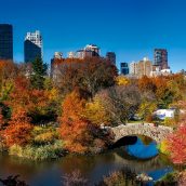 Voyager aux USA en Automne : 2 destinations de choix à visiter