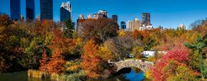 Voyager aux USA en Automne : 2 destinations de choix à visiter