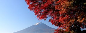 Voyage au Japon : partir à la découverte de la région des Cinq Lacs
