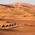 Escapade dans le désert du Sahara