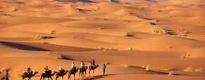 Escapade dans le désert du Sahara, les choses à y voir et y faire