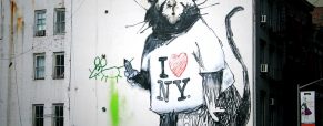 Top 5 des meilleures destinations pour admirer du street art