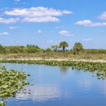 road-trip-everglades