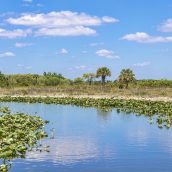 Que faut-il prévoir pour un road trip réussi dans les Everglades ?