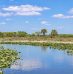 Que faut-il prévoir pour un road trip réussi dans les Everglades ?