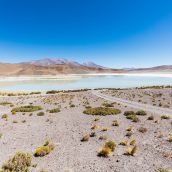 Séjourner en Bolivie pour découvrir sa culture