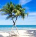 Voyage aux Caraïbes : pourquoi choisir de séjourner à la Dominique ?