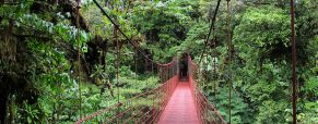 Partir en aventure au Costa Rica : quelle destination visiter ?
