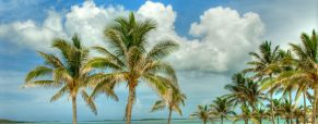 Voyage aux Bahamas : 3 lieux les plus romantiques pour les amoureux