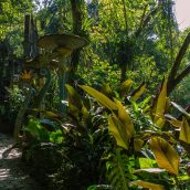 Séjour au Mexique : top 3 des plus beaux jardins à visiter