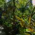 Séjour au Mexique : top 3 des plus beaux jardins à visiter