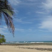 Séjour balnéaire au Costa Rica : les plages incontournables